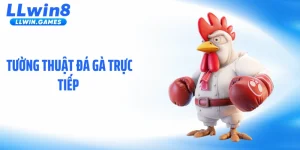 Tường Thuật Đá Gà Trực Tiếp: Diễn Biến Nghẹt Thở Từng Giây
